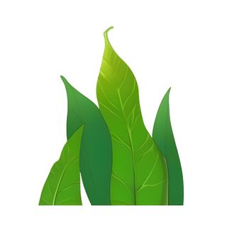 叶子草丛绿叶免抠