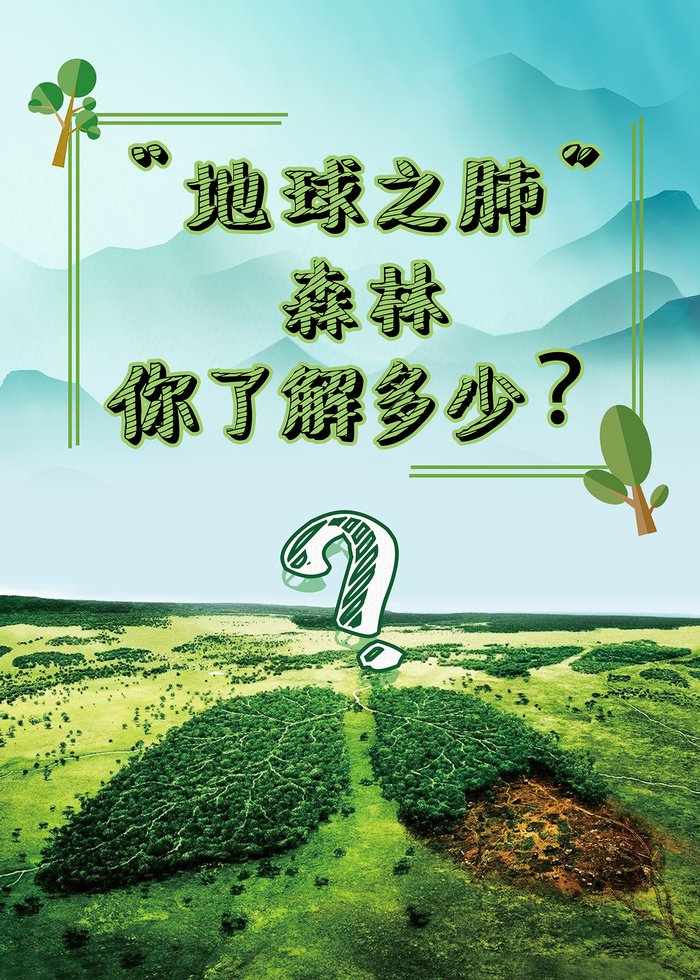 地球之肺森林知多少海报