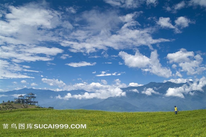 *大山花田风景素材