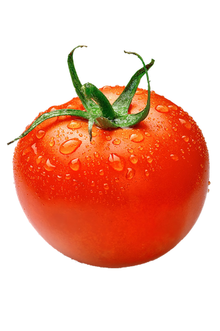 番茄西红柿png免扣素材