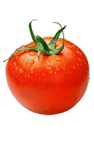 番茄西红柿png免扣素材