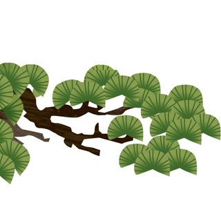 国潮风松树松枝松柏树木手绘植物装饰图案元素PSD设计素材