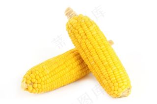 新鲜的玉米棒高清图片