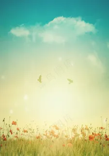 春暖花开背景图片 春暖花开背景图片