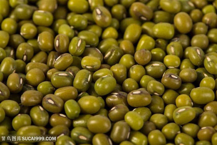 食物粮食绿豆