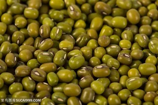 食物粮食绿豆
