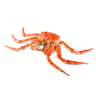 螃蟹(44)海鲜超市商品红酒白底图免抠实物摄影png格式图片透明底