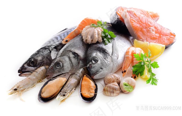 海鲜大全素材图片