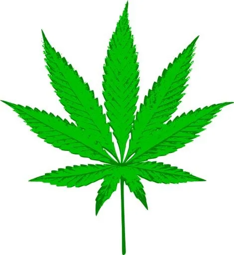 大麻PNG免抠(1177x1280)