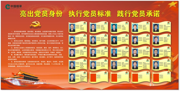 亮党员身份执行党员标准践行党员承诺cdr矢量模版下载