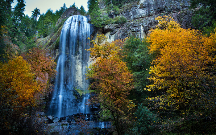 绿色 树林 丘陵 风景高 河流山川 