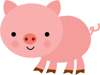 粉色小猪卡通简笔现代农业