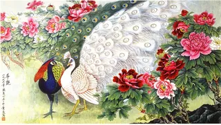 工笔画孔雀图片下载