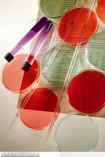 生物技术-多个培养皿