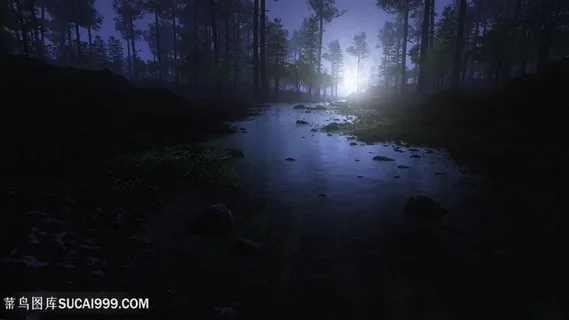 阴暗森林湖畔美景壁纸