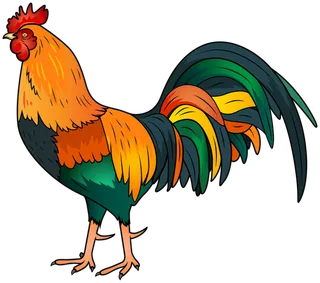 彩色大公鸡