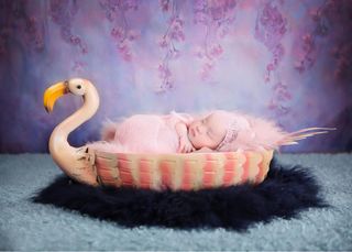 儿童照相拼接背景