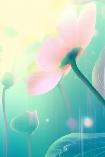 清新创意粉色荷花节气海报背景