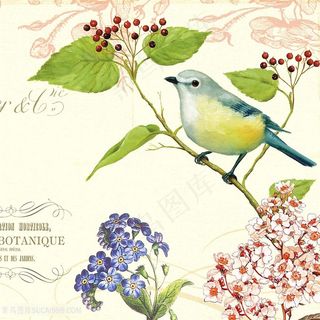 欧式花鸟装饰画