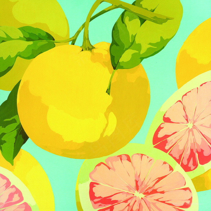 手绘柑橘艺术插画