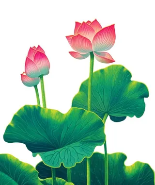 国潮荷花清新元素