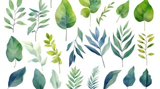 绿叶植物树叶茶壶免抠