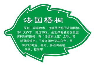 矢量树木介绍挂牌