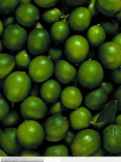 食物背景-青柠檬 食物背景-青柠檬