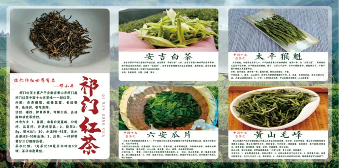 中国名茶黄山毛峰安吉白茶太平猴魁六安瓜片祁门红茶宣传介绍展板cdr矢量模版下载