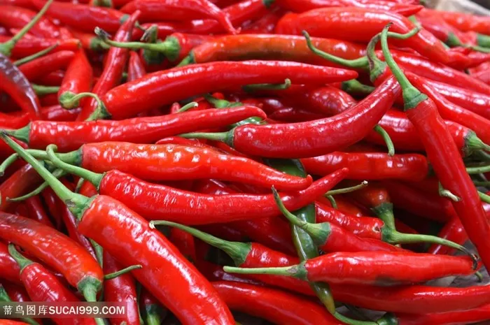 朝天椒图片素材