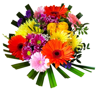 花朵鲜花手捧花