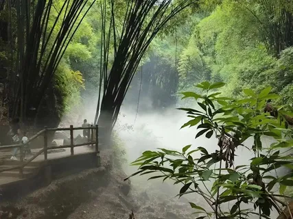 烟雾缭绕的竹林图