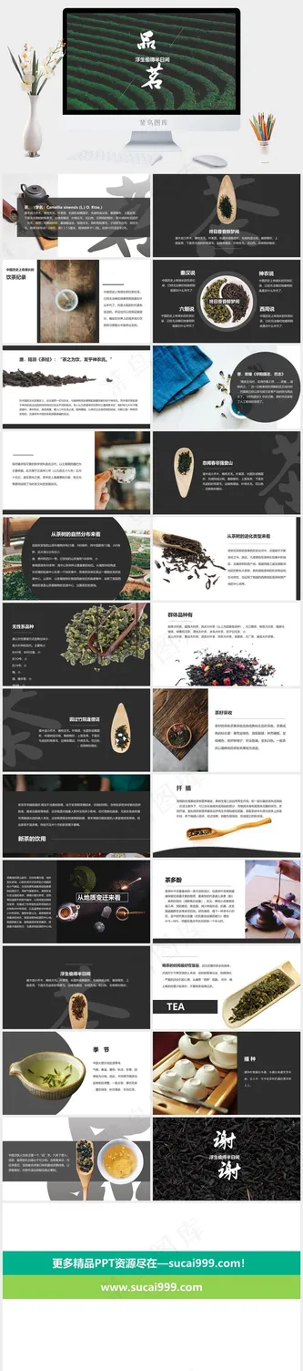 灰色实景风PPT模板预览图