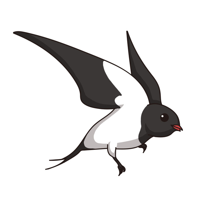 水彩手绘春季春天柳树柳条枝条小鸟小燕子元素PSD设计素材PNG图片