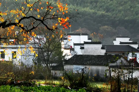 安徽塔川风景图片-第7张 安徽塔川风景图片-第7张