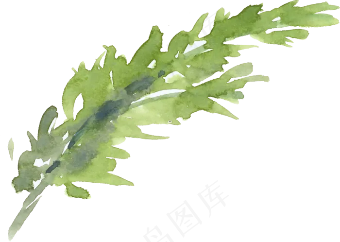 冬季圣诞节花卉果花圈植物免抠海报PNG素材
