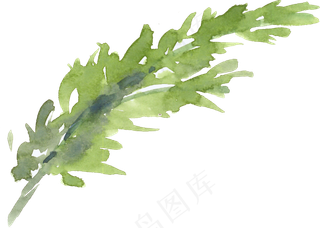 冬季圣诞节花卉果花圈植物免抠海报PNG素材