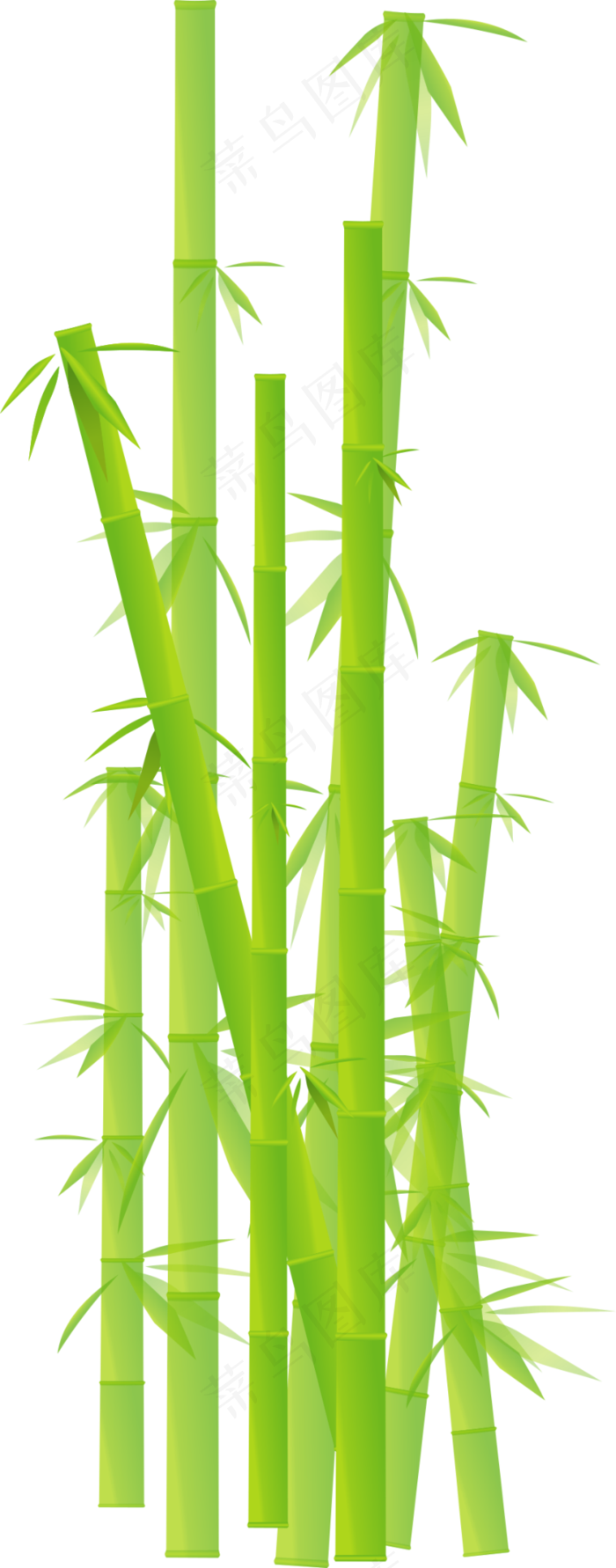 PNG 绿色竹子  