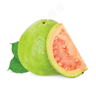 番石榴免抠素材 (31)