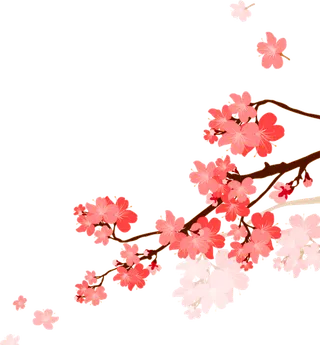 春天浪漫粉红色樱花手绘樱花梅花桃花花朵图片PNG免扣素材