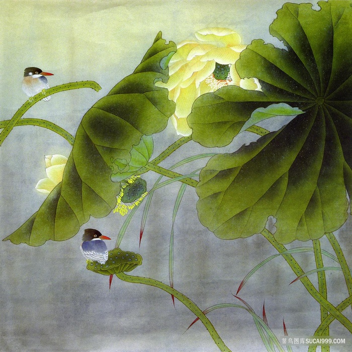 花鸟莲花中式插画