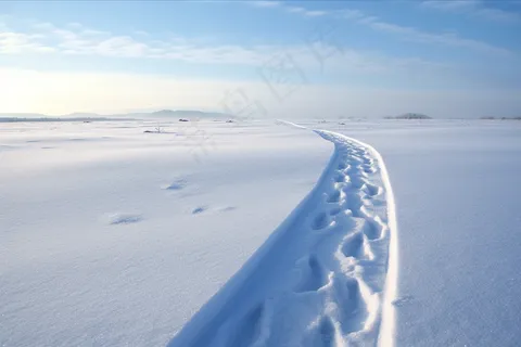 冬天雪地里走过的脚印雪景摄影图 冬天雪地里走过的脚印雪景摄影图