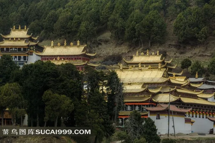 苍松山林中的金顶寺院宏伟庙宇