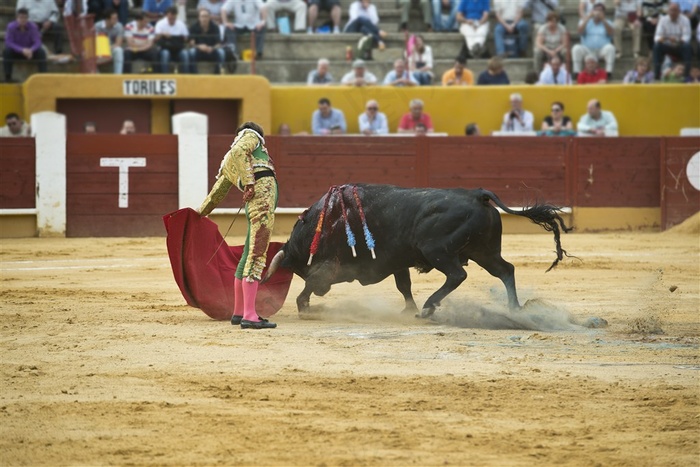 持续斗牛的斗牛士