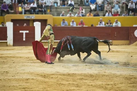 持续斗牛的斗牛士