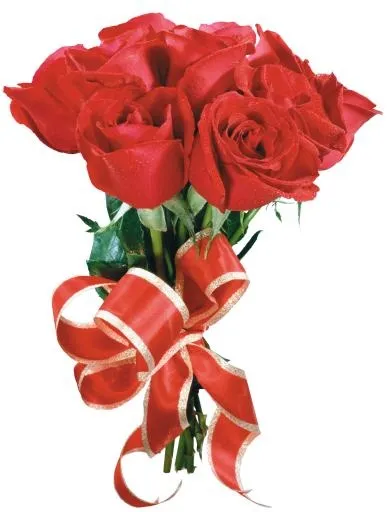 玫瑰 PNG免抠(3376x4460)