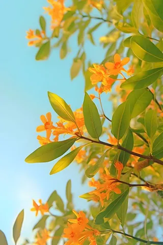 清新简约绿叶小花背景