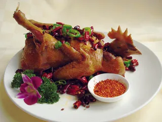 0911XC-672陕西香辣鸡