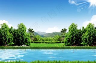 蓝天白云下的树林风景图片