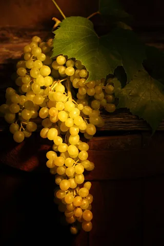 高清青葡萄图片下载